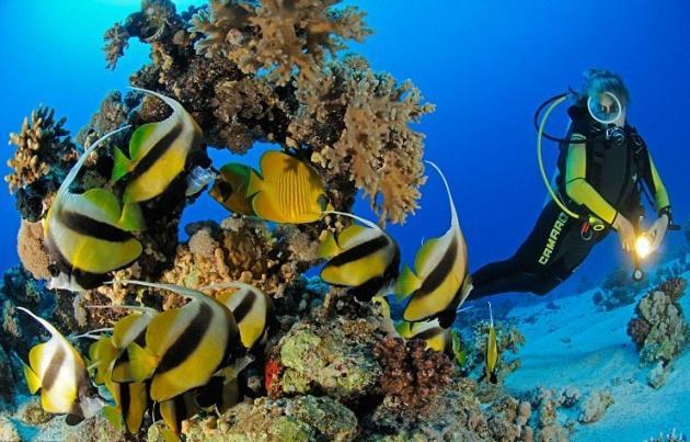 Marena Appartamento Hurghada